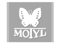 Motyl